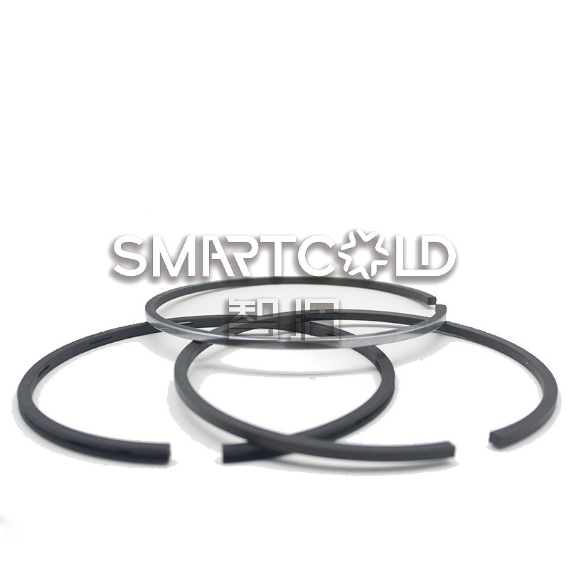 Piston Ring